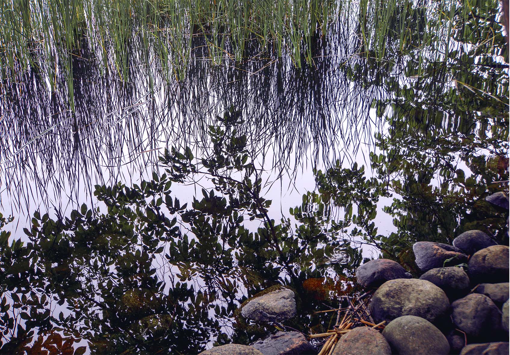 !plats för Djurgårdsstrand...